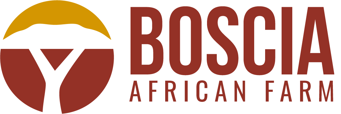 Boscia African Farm