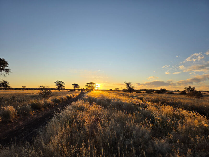 Sunset in Namibia