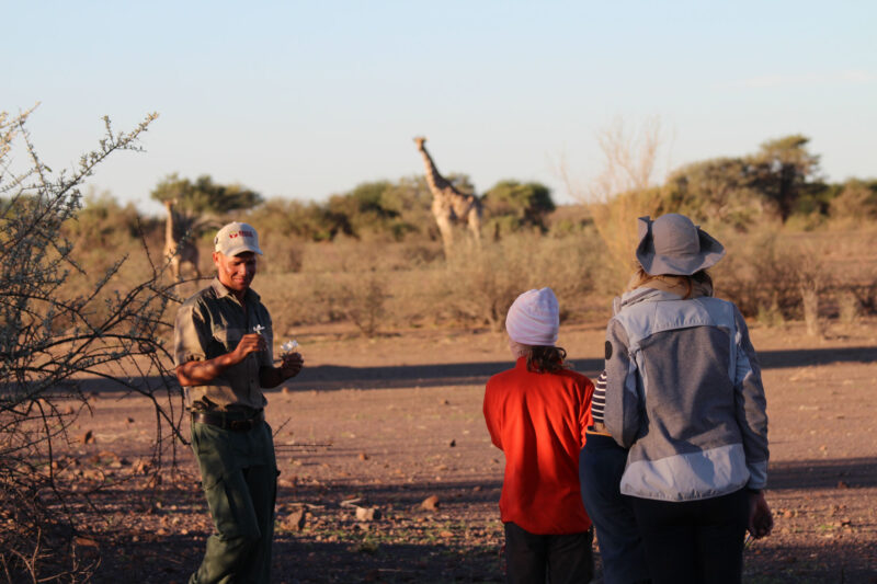 Safari Tour suited to children